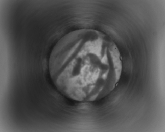 X0000092110077200710031238