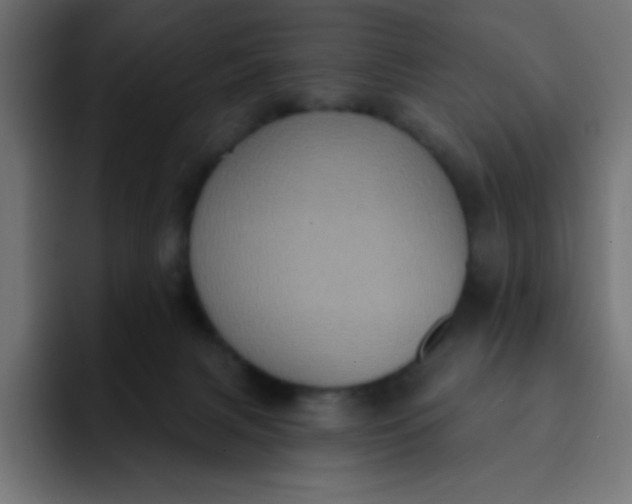 X0000092110079200710031238