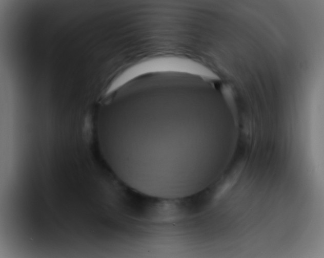 X0000092110080200710031238