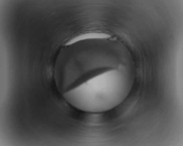 X0000092110081200710031238