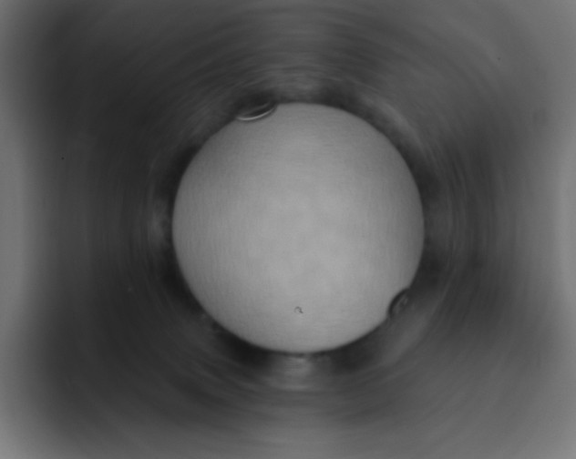 X0000092110083200710031238