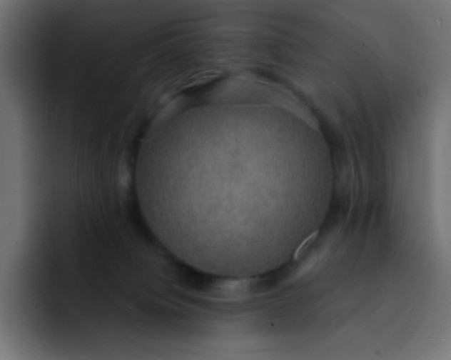 X0000092110084200710031238