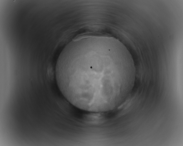 X0000092110086200710031238