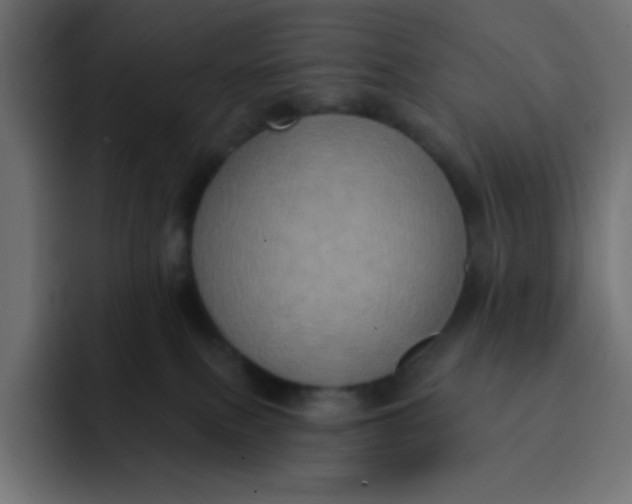 X0000092110087200710031238