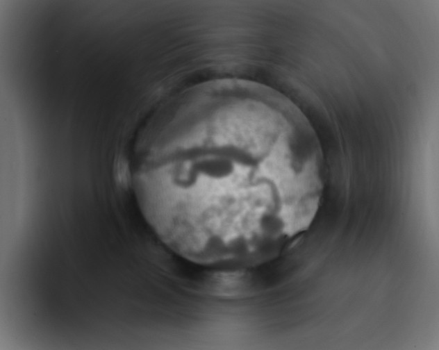 X0000092110089200710031238