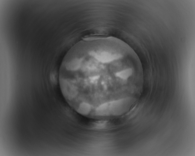 X0000092110090200710031238