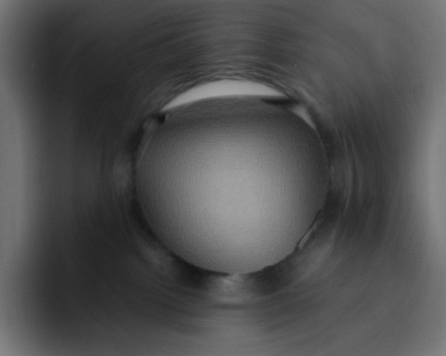 X0000092110092200710031238