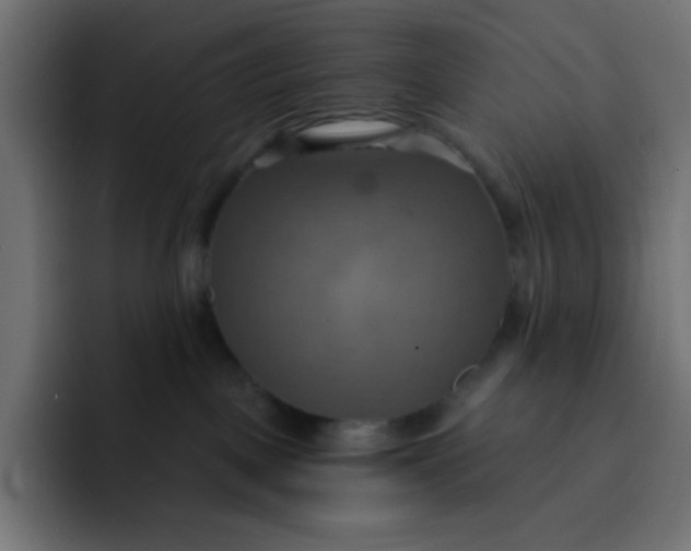 X0000092110093200710031238