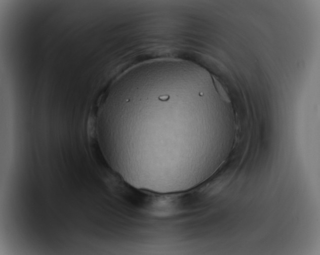 X0000092110096200710031238