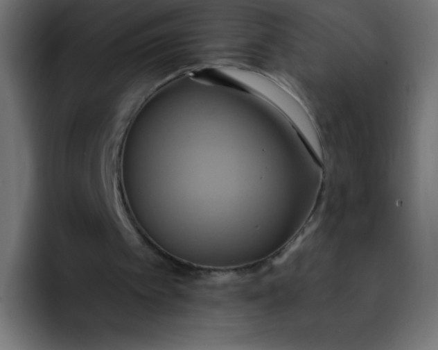 X0000092110097200710031238