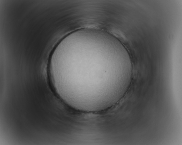 X0000092110098200710031238