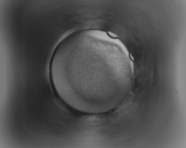 X0000092110100200710031238