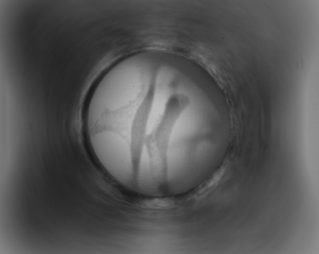 X0000092110102200710031238