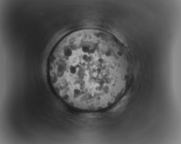 X0000092110103200710031238