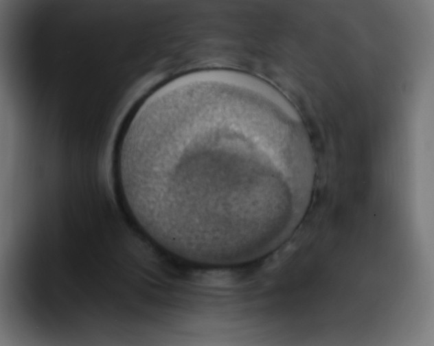 X0000092110104200710031238