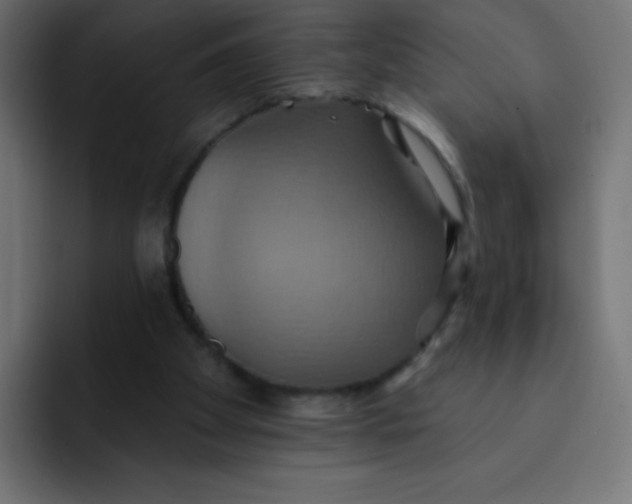 X0000092110105200710031238