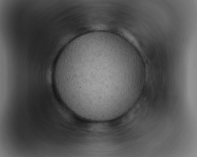 X0000092110106200710031238