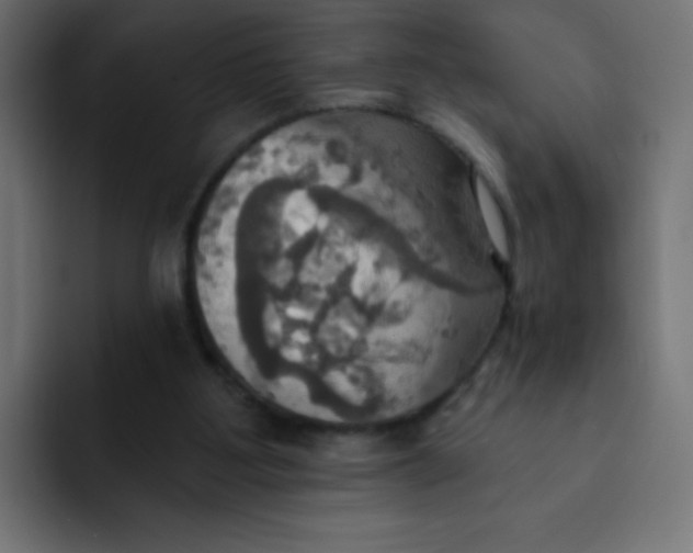 X0000092110107200710031238