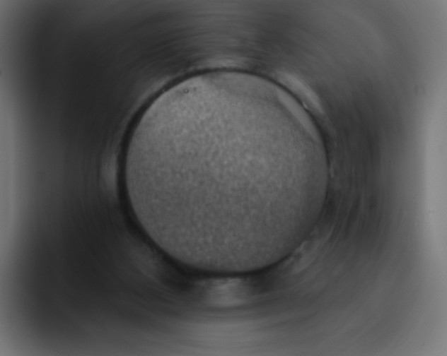 X0000092110108200710031238