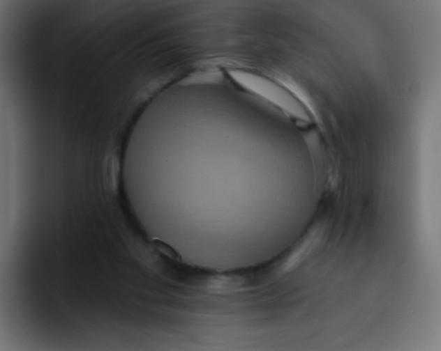 X0000092110109200710031238