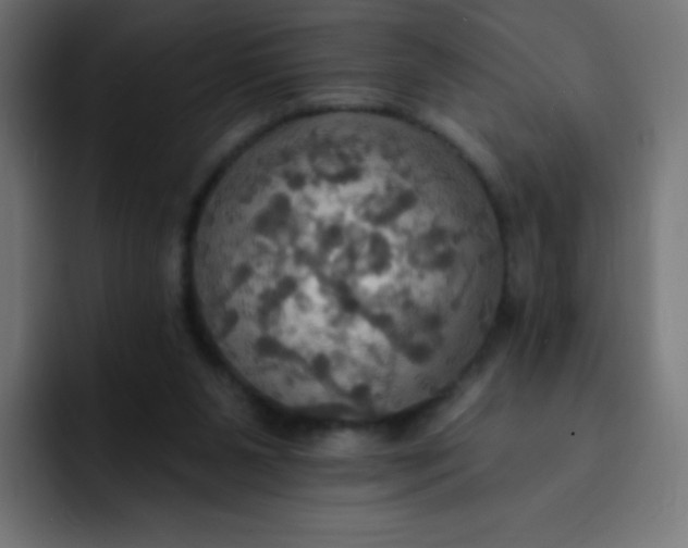 X0000092110111200710031238