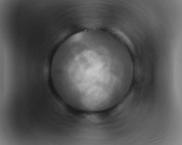 X0000092110113200710031237