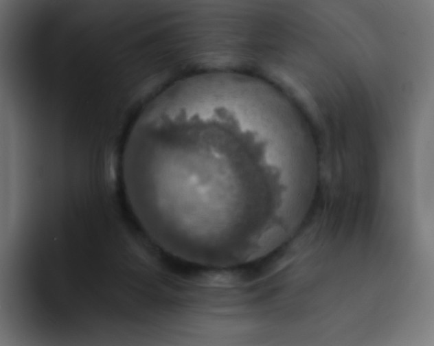 X0000092110115200710031237