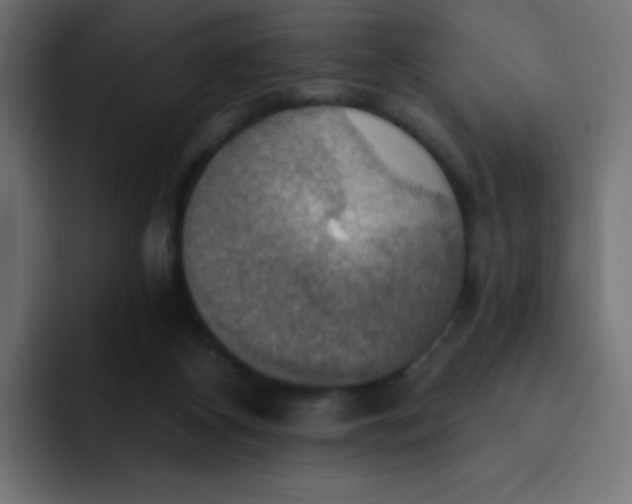 X0000092110116200710031237