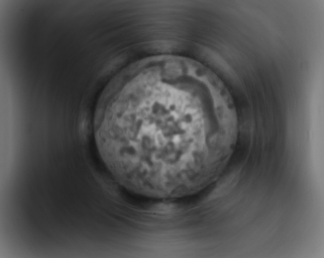 X0000092110119200710031237