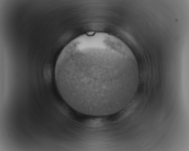 X0000092110120200710031237