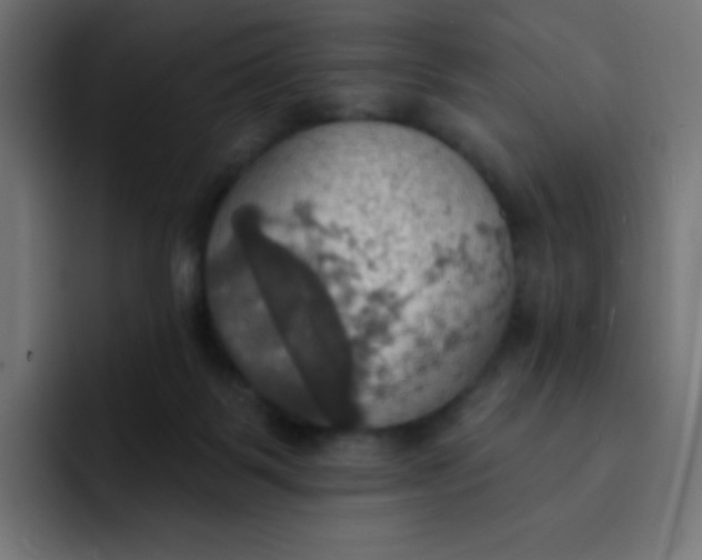 X0000092110123200710031237