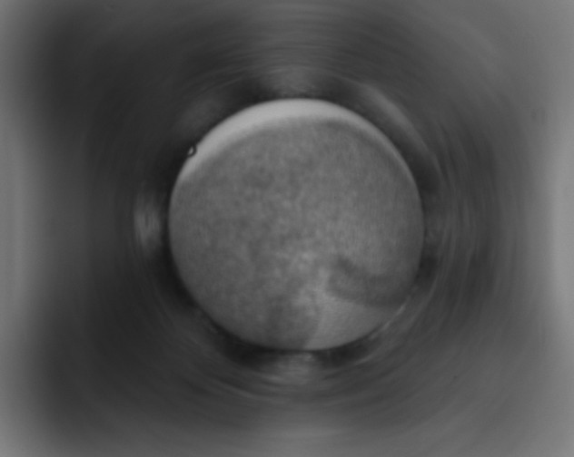 X0000092110124200710031237