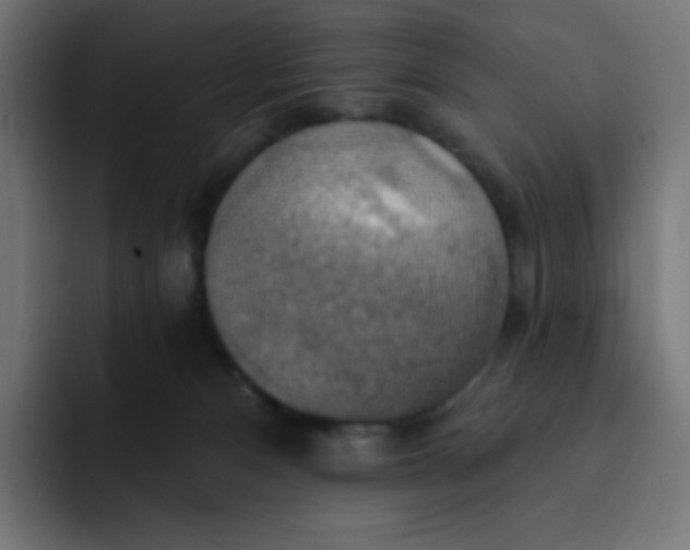 X0000092110128200710031237