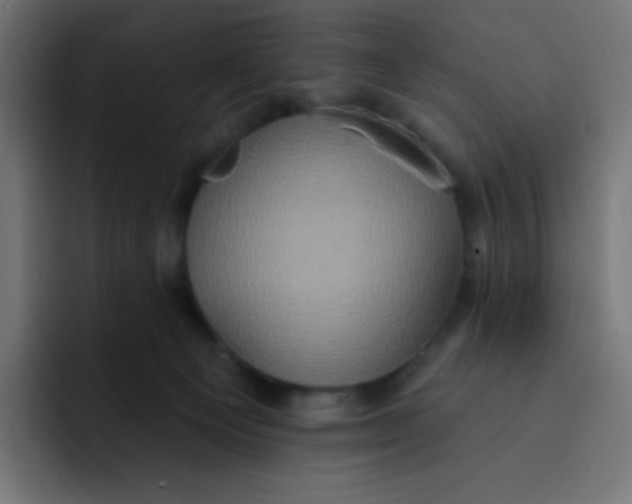 X0000092110129200710031237