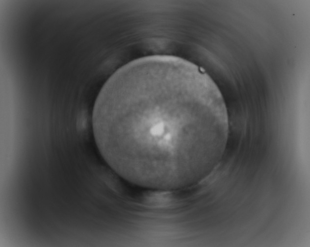 X0000092110132200710031237