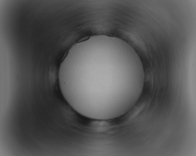 X0000092110133200710031237