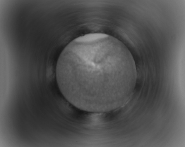 X0000092110136200710031237