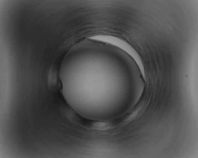 X0000092110139200710031237