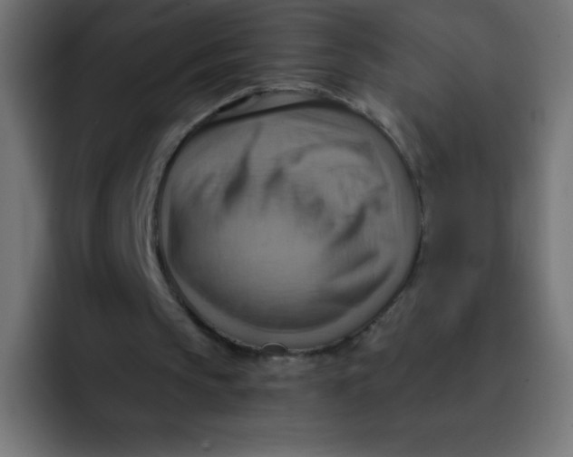 X0000092110145200710031237