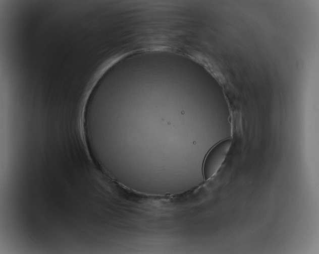 X0000092110147200710031237