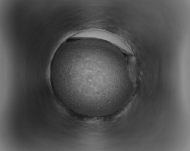 X0000092110148200710031237