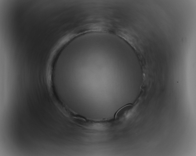 X0000092110149200710031237