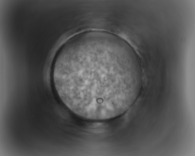 X0000092110151200710031237