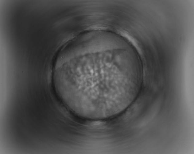 X0000092110153200710031237