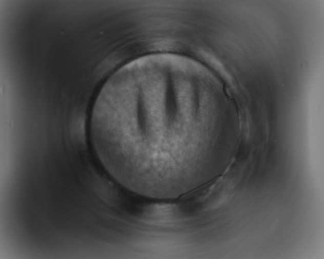 X0000092110154200710031237