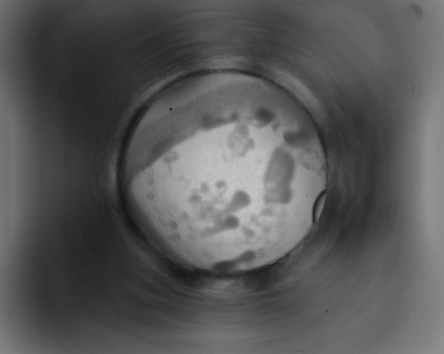 X0000092110155200710031237