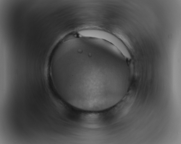 X0000092110156200710031237