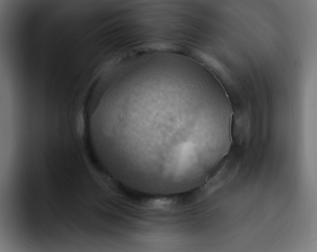 X0000092110158200710031237