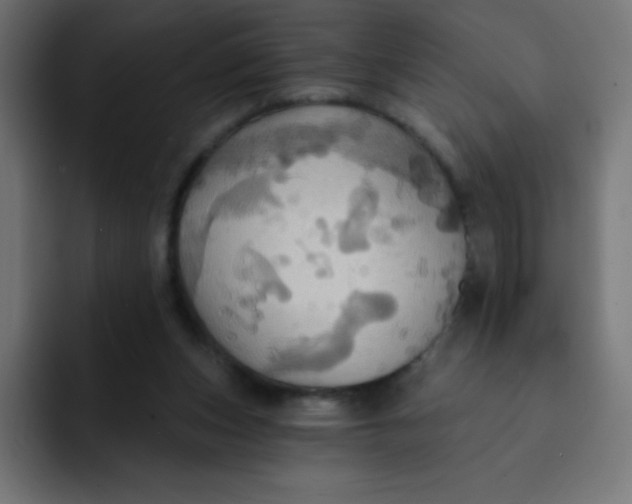 X0000092110159200710031237