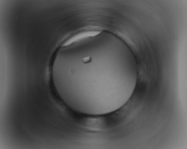 X0000092110160200710031237